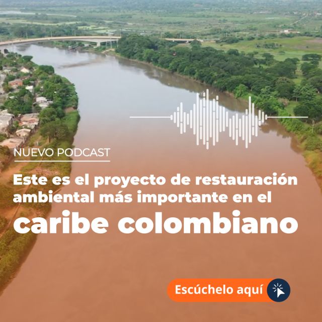 Este es el proyecto de restauración ambiental más importante en el caribe colombiano